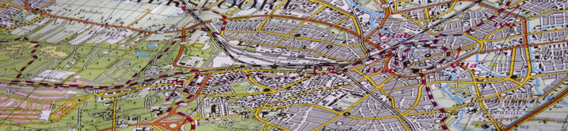 Hoe breng ik invasieve exoten in kaart?